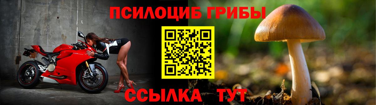 Усолье-Сибирское  Галлюциногенные грибы Magic Shrooms  Псилоцибиновые грибы Cubensis  Вход с VPN 